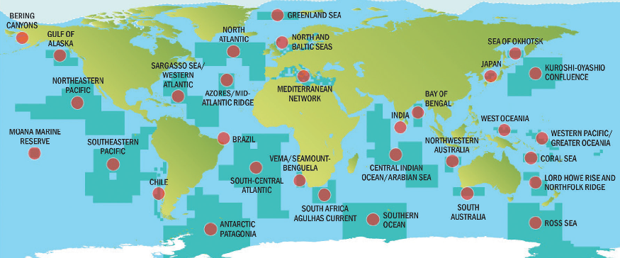 The United Nations Agrees To Protect International Waters The Tacoma 