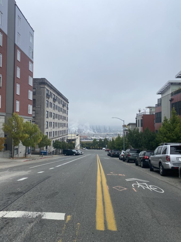A daytime image of a shared bike lane in Tacoma with parked cars line the shoulder.