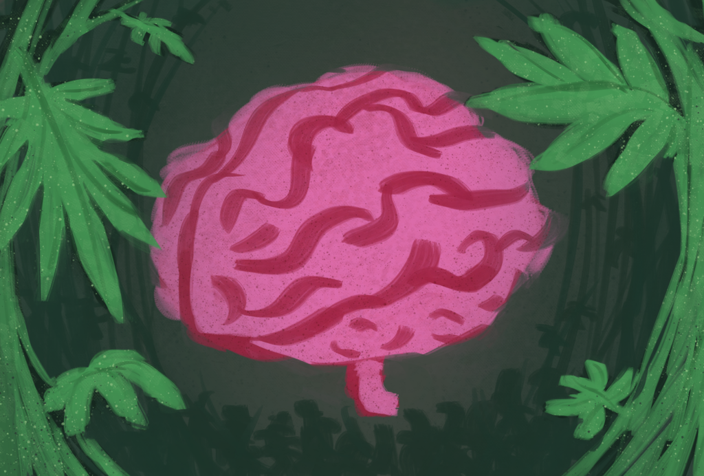 The benefits and consequences of marijuana use.