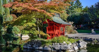 Point Defiance offers spring escape with wildlife, gardens and waterfront views Point Defiance offers spring escape with wildlife, gardens and waterfront views